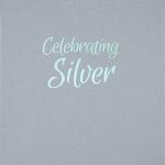 SAQA - Celebrating Silver