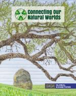 SAQA - Connecting our Natural Worlds (catalog)