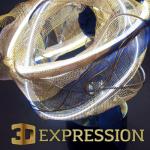 3D Expression (artwork)